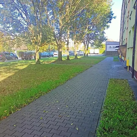 Apartament Zabrze Grzybowska Exterior foto