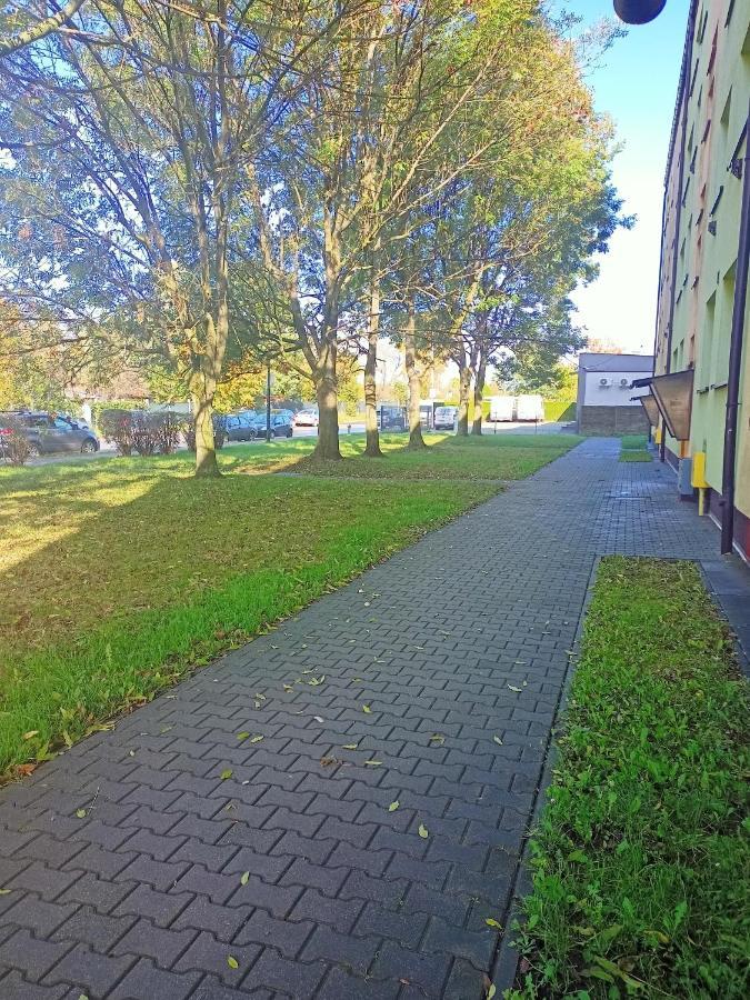 Apartment Grzybowska *